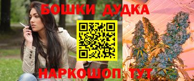 шишки Шебекино