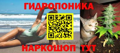 дмт Шахты