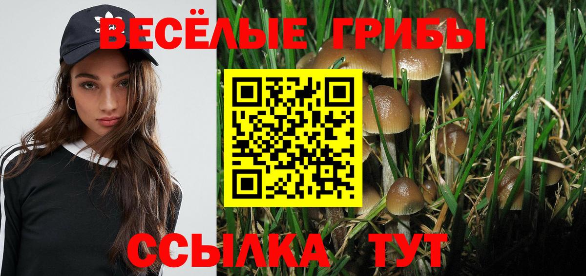 Псилоцибиновые грибы MAGIC MUSHROOMS Белореченск